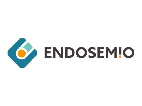 241029 endosemio