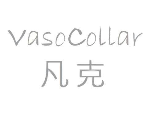 201104 vasocaller