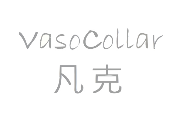201104 vasocaller