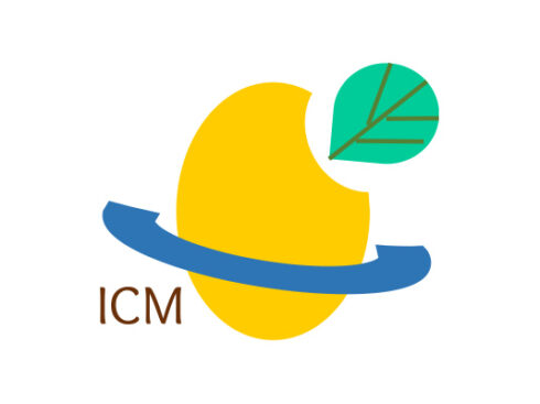 241118 icm