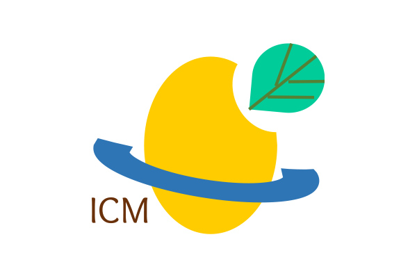 241118 icm